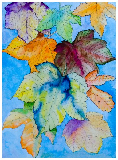 Photo 31-08-2015, 19 35 46